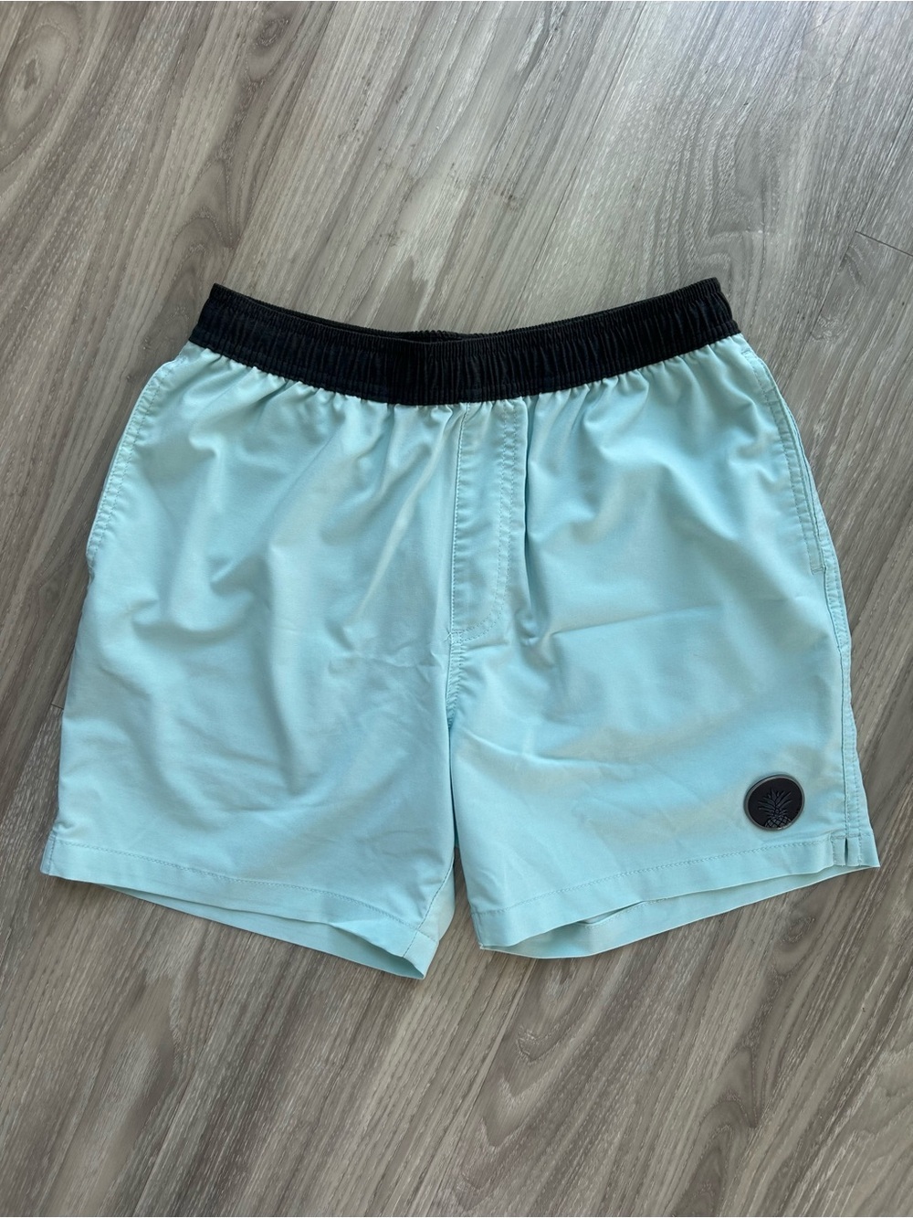 chubbies | Ultimate Training 5.5" Shorts in Light Aqua with Black Waistband (S)